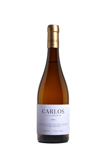 CARLOS VILLANUEVA GODELLO 2023