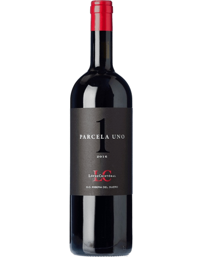 LOPEZ CRISTÓBAL PARCELA 1 2021