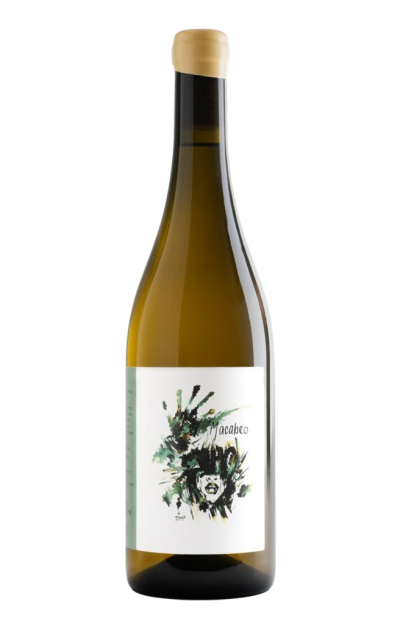 MACABEO DE NEGRETE