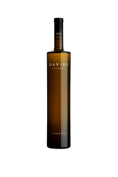 DAVIDE ALBARIÑO 2024