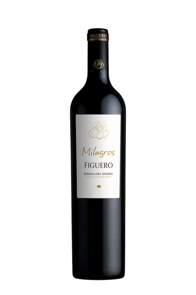 FIGUERO MILAGROS 2020