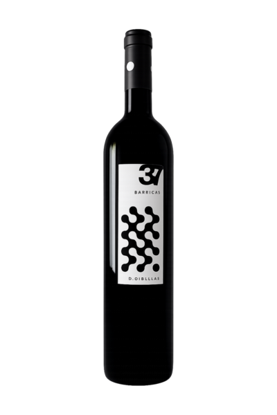 37 BARRICAS 2019